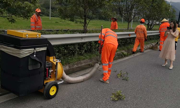 手推式樹葉收集器工作中